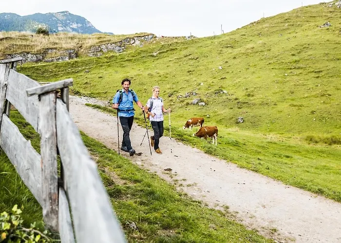 Wolfsegg Kirchberg in Tirol